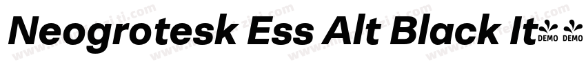 Neogrotesk Ess Alt Black It字体转换